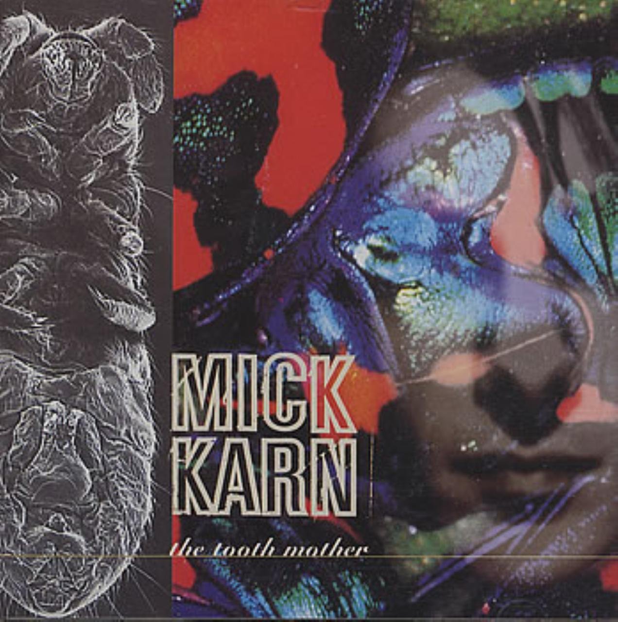 Mick karn CD ミックカーン　tooth mother Amazon.co.jp: Tooth Mother: ミュージック